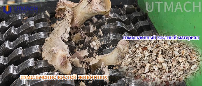 bone-shredding-ru-700x300.jpg